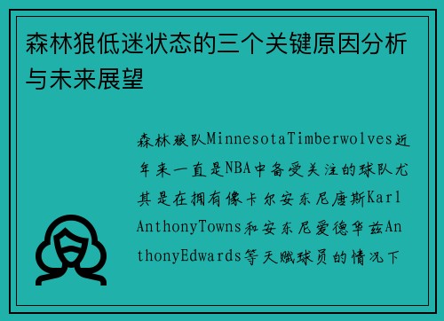 森林狼低迷状态的三个关键原因分析与未来展望