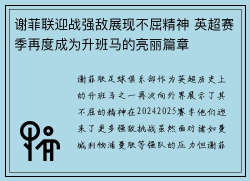 谢菲联迎战强敌展现不屈精神 英超赛季再度成为升班马的亮丽篇章